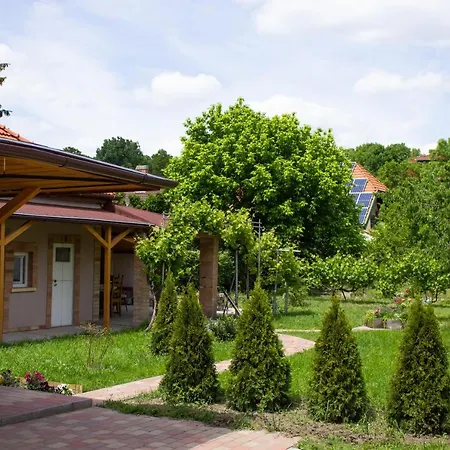Apartment Ilona